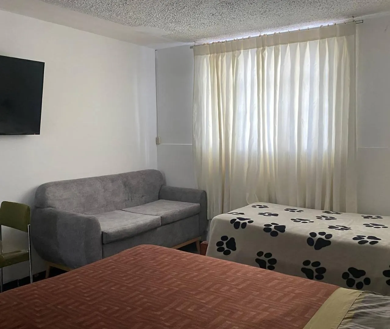 Calu L' Petit Hostel كويتو