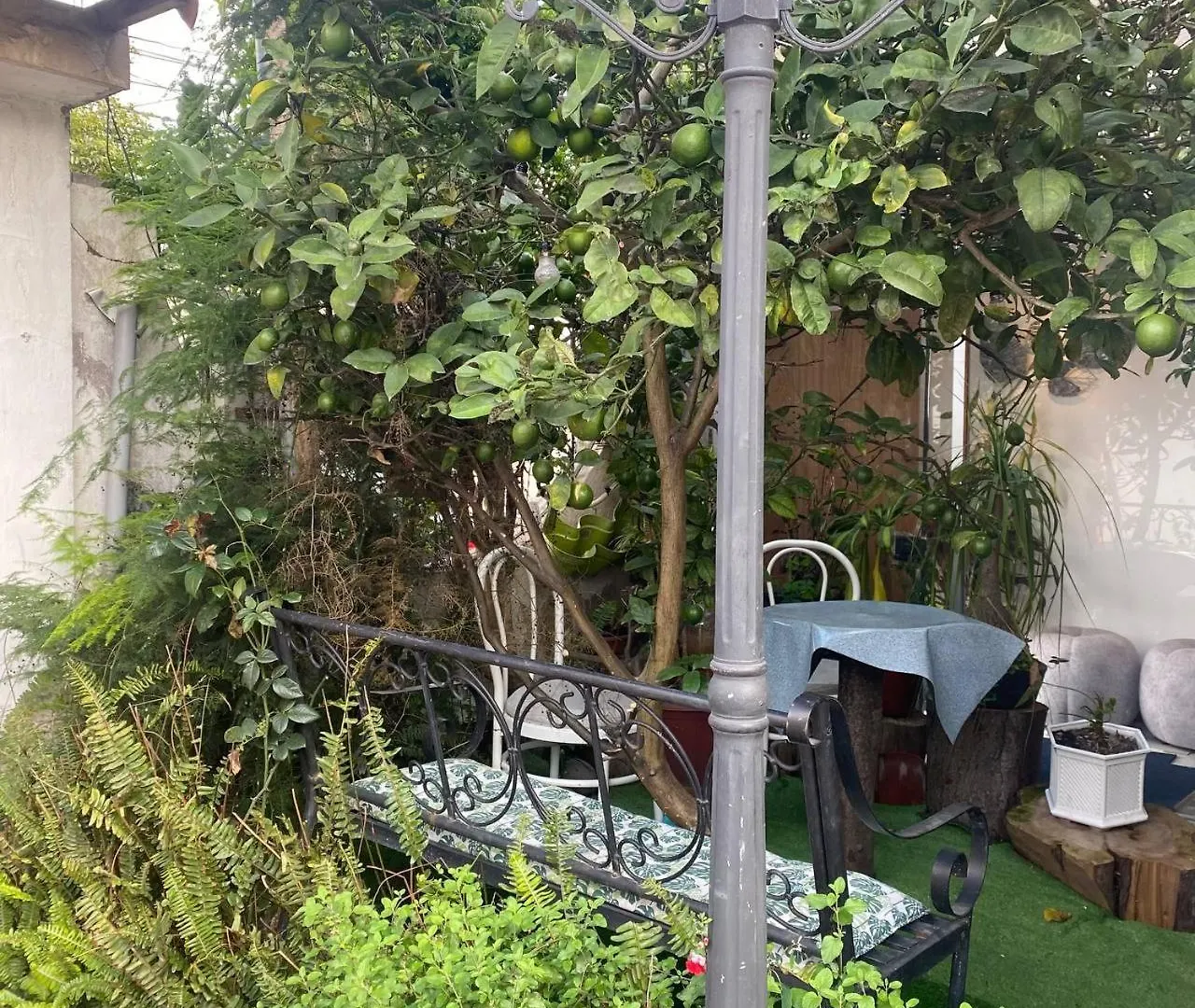 Calu L' Petit Hostel كويتو بيت ضيافة